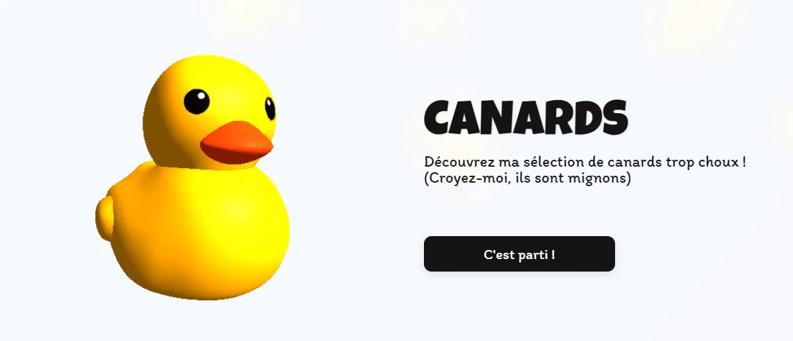 Rubber Ducky Website